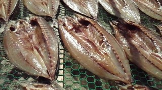 2013022113460001.jpg