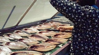2013022113460002.jpg