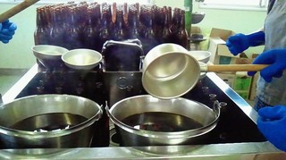 20130314ire.jpg